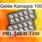 Gelée Kamagra 100 07